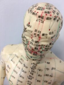 acupuncture, acupuncture model, mannequin-4207760.jpg